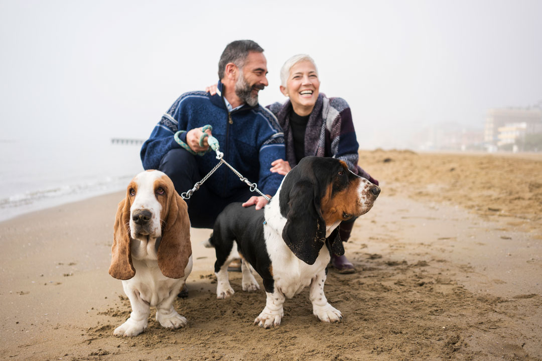 Couple with dogs on the beach