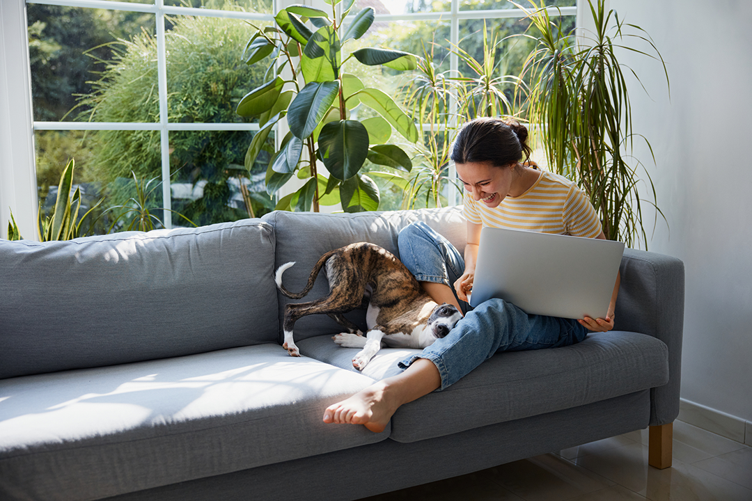 Image for the Super essentials webinar