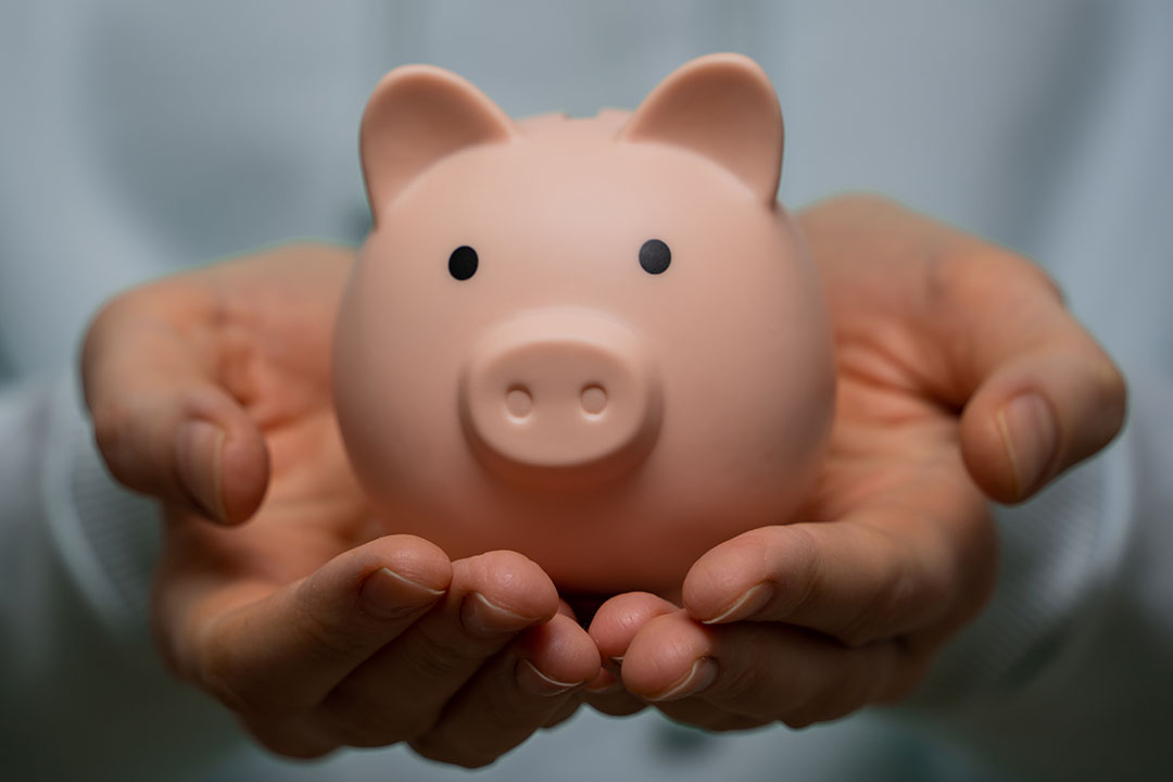 Person holding piggy bank